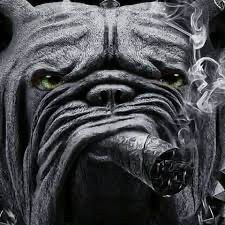 Create meme: darkness, black bulldog, schmuck