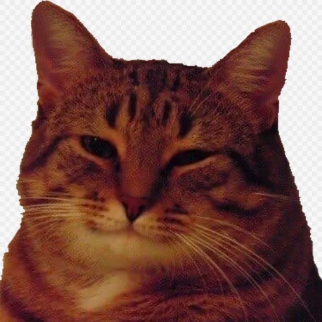 Создать мем: кот мем, добрый кот мем, улыбающийся кот мем
