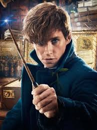 Create meme: Eddie redmayne newt Scamander, Eddie redmayne's fantastic beasts, newt Scamander