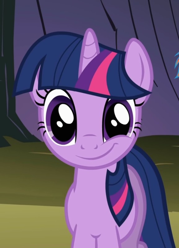 Create meme: mlp twilight, pony twilight sparkle, princess twilight sparkle