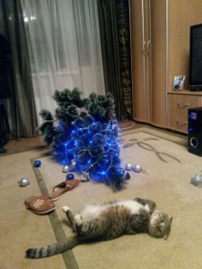 Create meme: Kote, funny cats, the cat and the tree