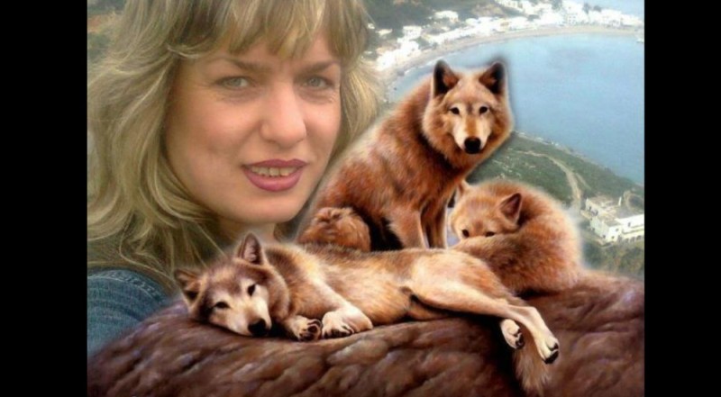 Create meme: picmix , photo montage, proud wolf 