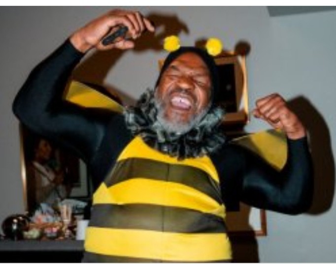 Создать мем: тайсон в костюме пчелки, майк тайсон в костюме пчелки, костюм пчелы