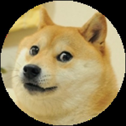 Create meme: doge , dogecoin, shiba inu doge