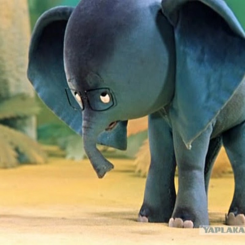 Create meme: baby elephant 38 parrots, 38 parrots cartoon baby elephant, baby elephant