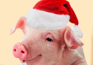 Создать мем: год свиньи 2019 гороскоп для всех знаков зодиака, земляная свинья, желтая земляная свинья