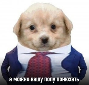 Создать мем: собака в пиджаке, собака, щенки собаки