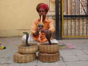 Create meme: snake charmers in India, Jaipur snake Charmer, the snake Charmer