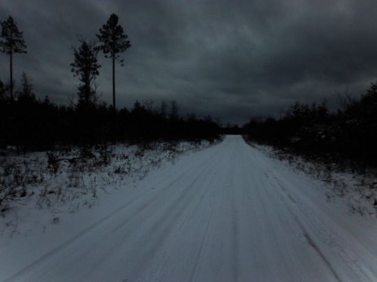 Создать мем: дорога в лесу, природа дорога, лес зимний