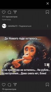 Create meme: humor, the monkey sage, monkey