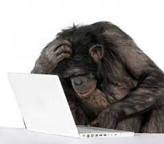 Create meme: the monkey behind the laptop, chimpanzees , monkey in front of the computer