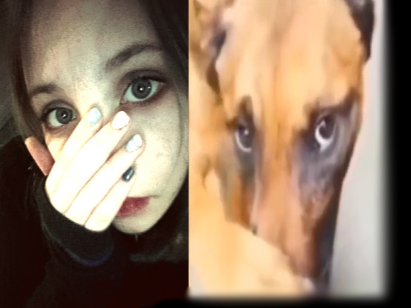 Создать мем: собака, человек, собака прикрывает нос