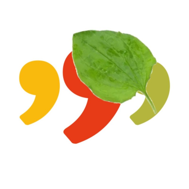 Создать мем: фрукты овощи, логотип выделить, 999 md briceni