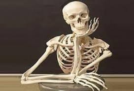 Create meme: waiting skeleton, The skeleton meme has been waiting a long time, meme skeletons