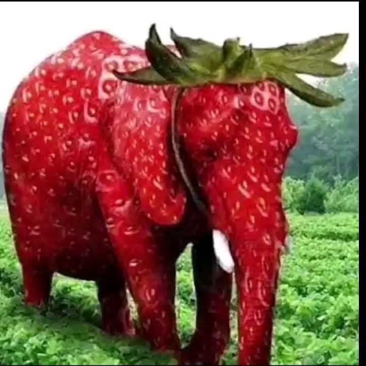 Создать мем: розовый слон, смешные фрукты, слоники любовь