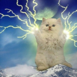 Создать мем: cat, lightning, грозовое