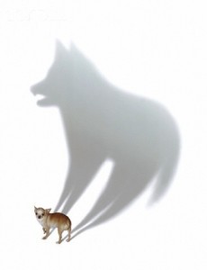 Создать мем: cat art, fox dog, Размытое изображение