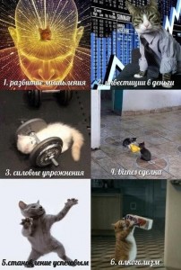 Создать мем: мемы про котов, котэ, кошка