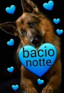 Create meme: cake dog, pictures bacio amore, buona notte animali pictures