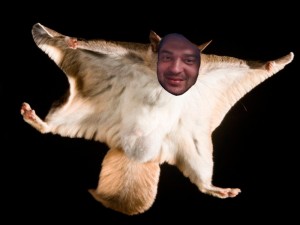 Создать мем: летяги, белая белка летяга, белка летяга в полете
