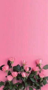 Создать мем: цветы розовые розы, розовые цветы, фон цветочный