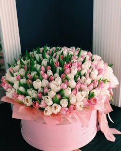 Create meme: delicate tulips, bouquet of tulips in a box