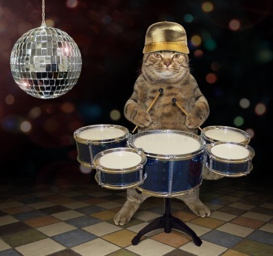 Создать мем: играть на барабанах, кошка на барабане, кот играет на барабанах