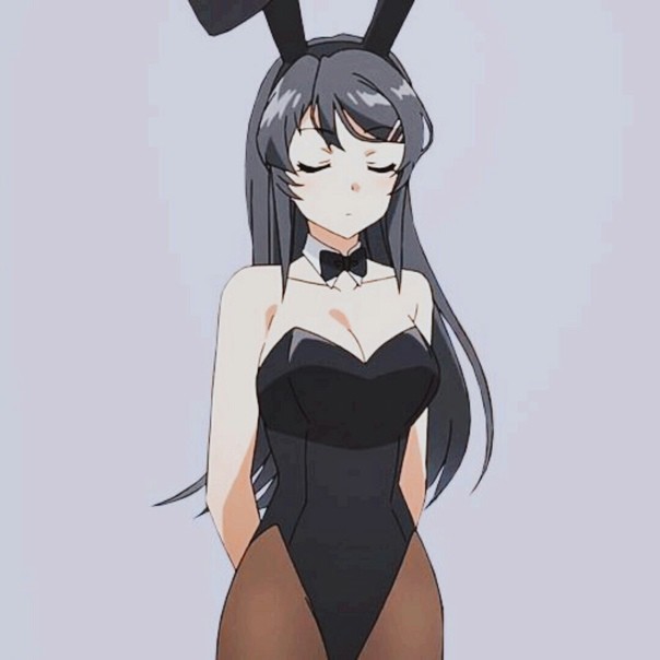 Create meme: Mai Sakurajima in a rabbit costume, anime characters, anime girls