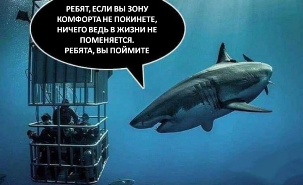 Создать мем: акулы большие, выйди из зоны комфорта акула, акула