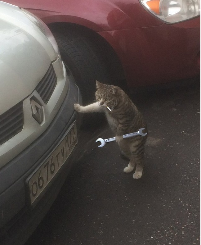 Создать мем: кот, кот с гаечным ключом и сигаретой, кот чинит машину