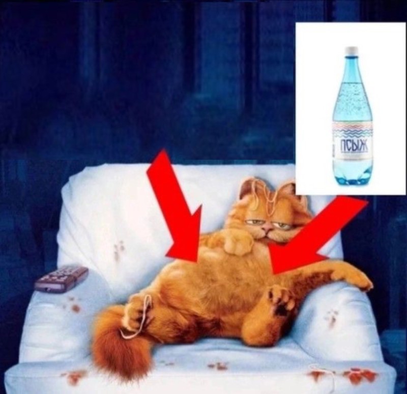 Создать мем: рыжий кот гарфилд, гарфилд 2004, гарфилд обложка фильма