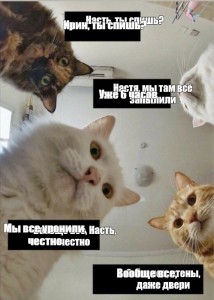 Создать мем: мемы с котами 2021, кот, кот мем