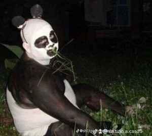 Создать мем: человек панда, панда, пьяная панда