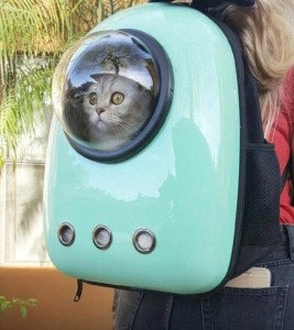 Создать мем: рюкзак для переноски кошек с иллюминатором, кот в рюкзаке с иллюминатором мем, рюкзак для кота с иллюминатором nasa