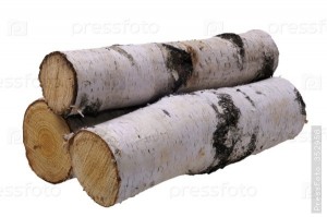 Create meme: birch, birch log, log