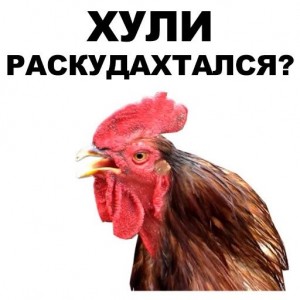 Create meme: homemade cock, rooster, meme cock