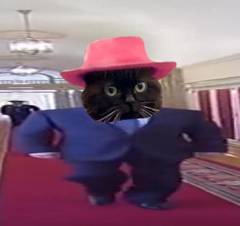 Create meme: Schmuck's cat is a mafia boss, cat , hat cat meme
