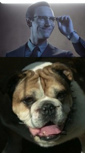 Создать мем: собака, english bulldog, эдвард нигма готэм