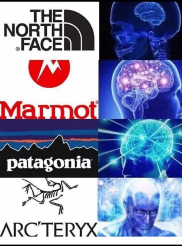 Создать мем: brain meme, мем церебро, мем mind
