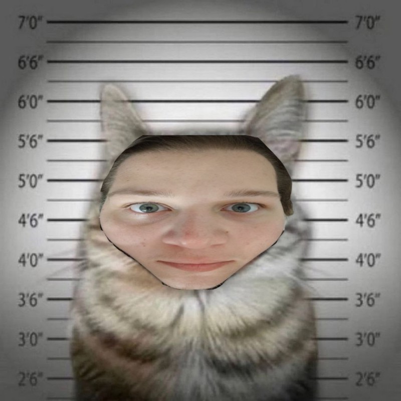 Create meme: the cat is a repeat offender, cat , cat criminal with a sign