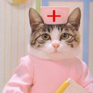 Create meme: doctor cat, Dr. cat, doctor cat