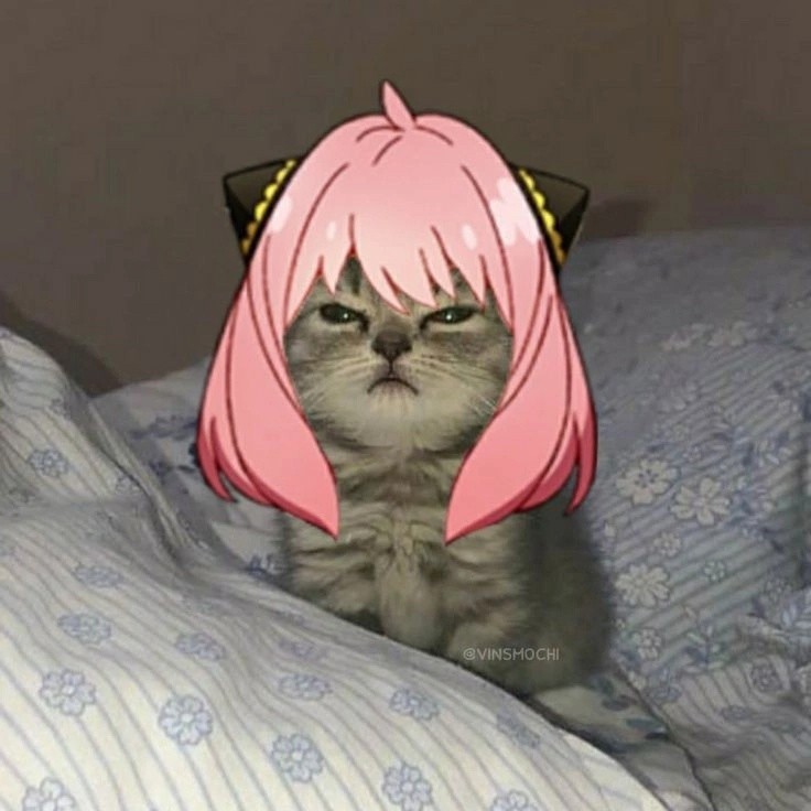 Создать мем: милый котик мем, аниме кошки, кот