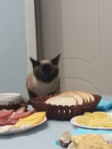 Создать мем: grumpy cat, обед картинки прикольные, приколы про еду