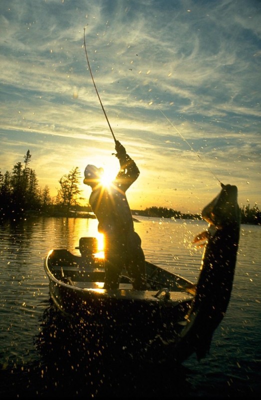 Создать мем: природа рыбалка, рыбная ловля, летняя рыбалка на щуку