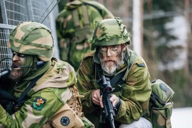 Создать мем: спецназ швеции, норвежский батальон «telemark», шведский спецназ sog