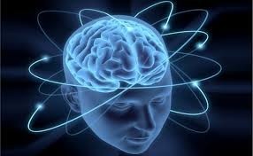 Создать мем: исследование мозга, память мозг, психика и мозг