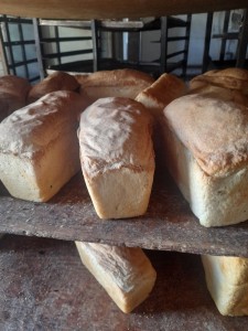 Create meme: bakery products, homemade bread, bread