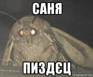 Create meme: opened the window meme, the meme about a moth in darkness, me