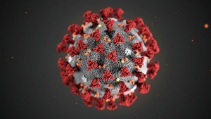 Create meme: molecule coronavirus, the virus is a coronavirus, virus