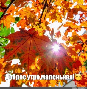 Золотая Осень Доброе Утро Фото